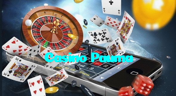 available types of Casino Pauma bet including pre-match live express and system bets
